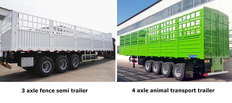 Animal Transport Trailer for Sale in Zimbabwe - TITAN Vehicle
