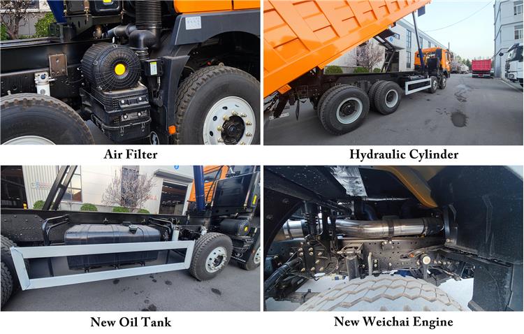 Used Shacman Dump Truck 8x4 for Sale Price In Tanzania Dar es Salaam